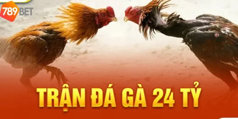 Diễn biến của trận đá gà 24 tỷ
