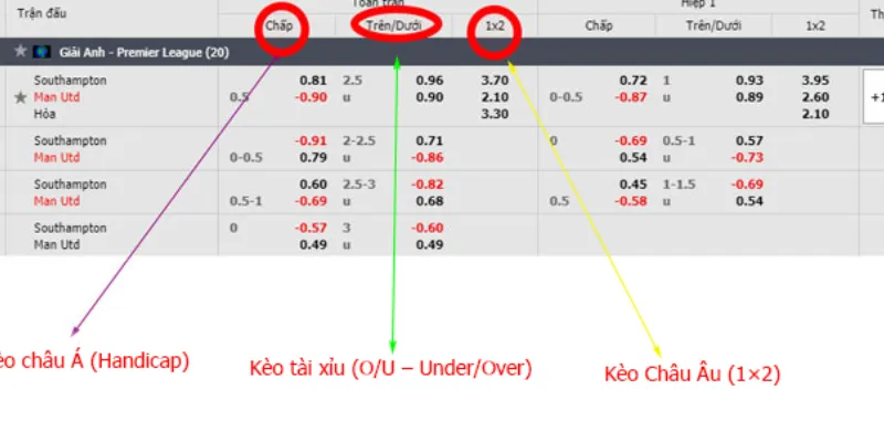 Hướng dẫn đọc và hiểu rõ tỷ lệ cược khi cá cược online