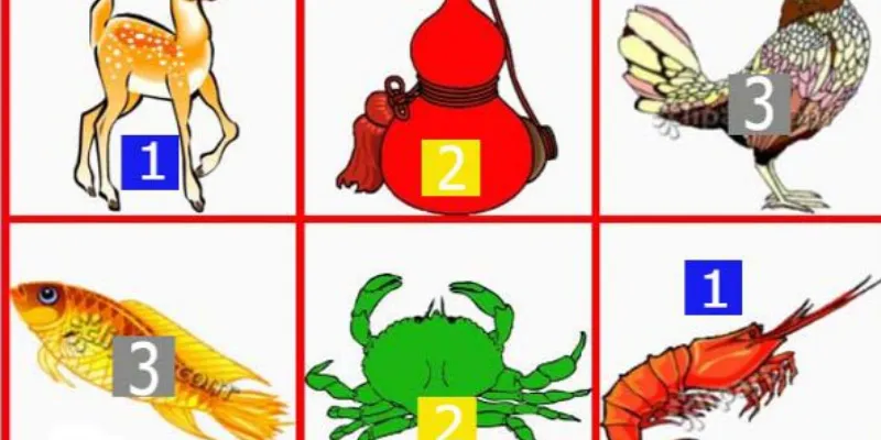 Hiểu rõ xác suất thắng thua trong Bầu Cua