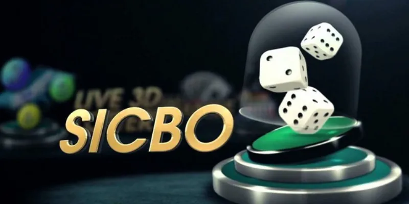 Bí quyết chơi Sicbo thắng đều mỗi ván?